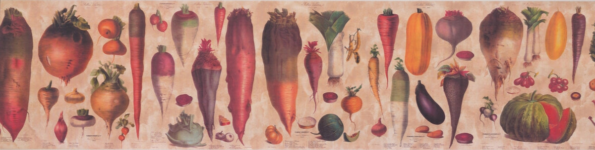Vegetables Explained Educational Beige Retro CA3049V1B Wallpaper Border