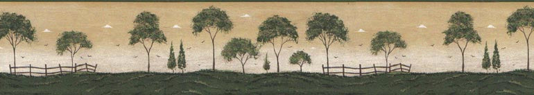 Trees  B74782 Wallpaper Border