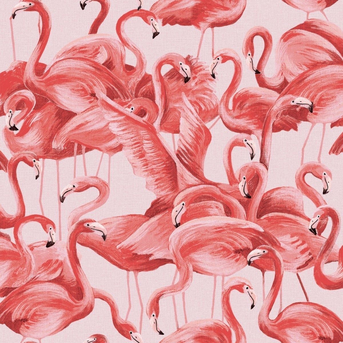 Flamingo Cheeky Pink FL538 Self-Adhesive Wallpaper